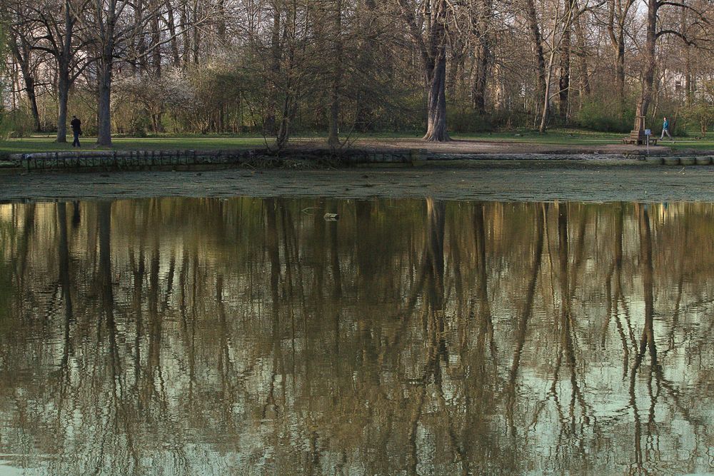 Nachmittags am Weiher