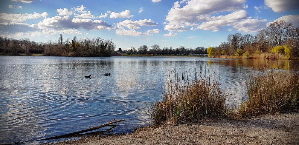 Nachmittags an der Blies in Ludwigshafen 