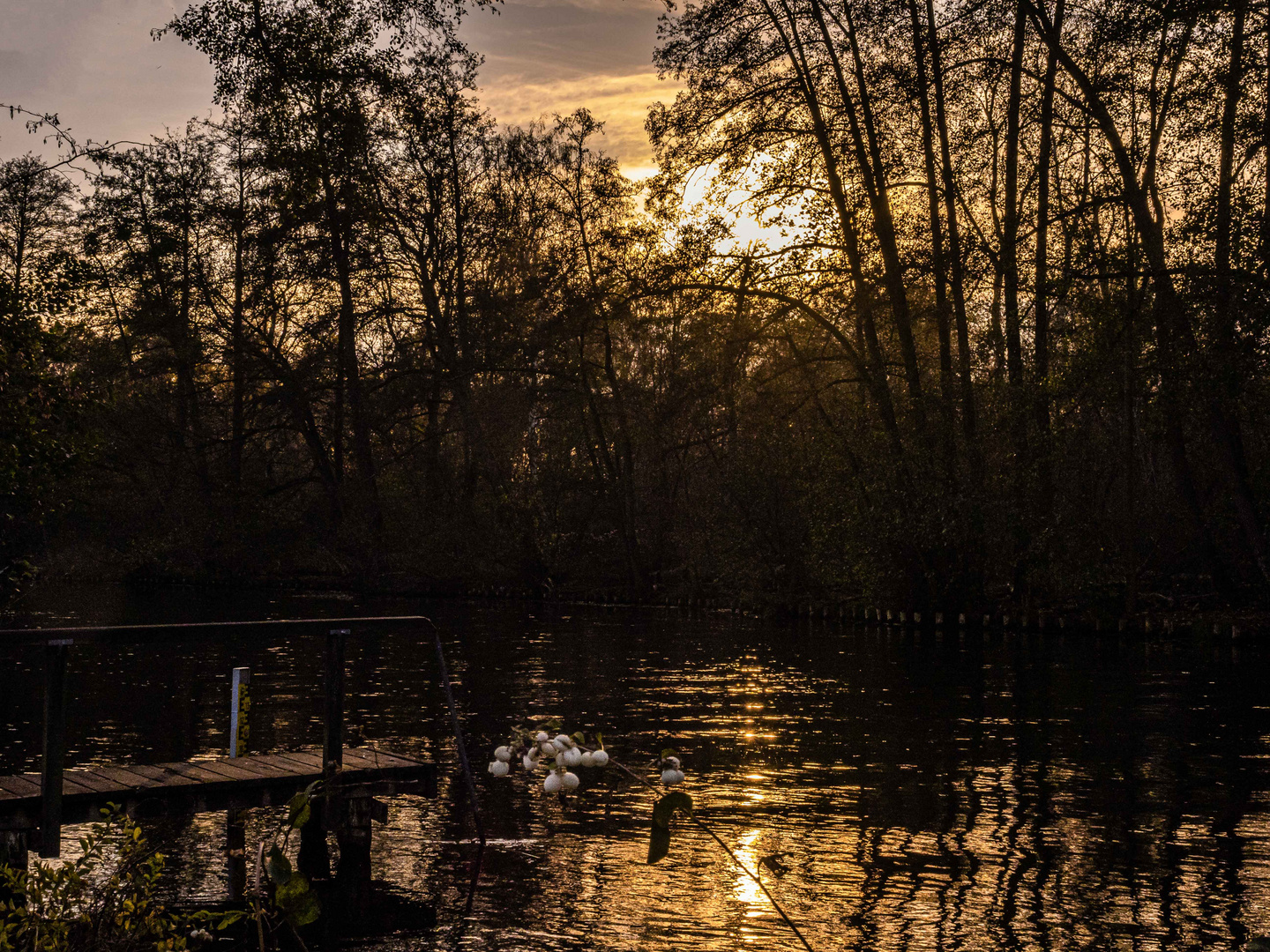 Nachmittags an der Spree