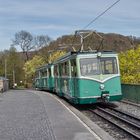 Nachmittags auf dem Drachenfels