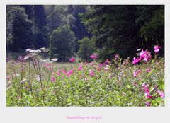 Nachmittags im August