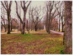 Nachmittags im Kurpark