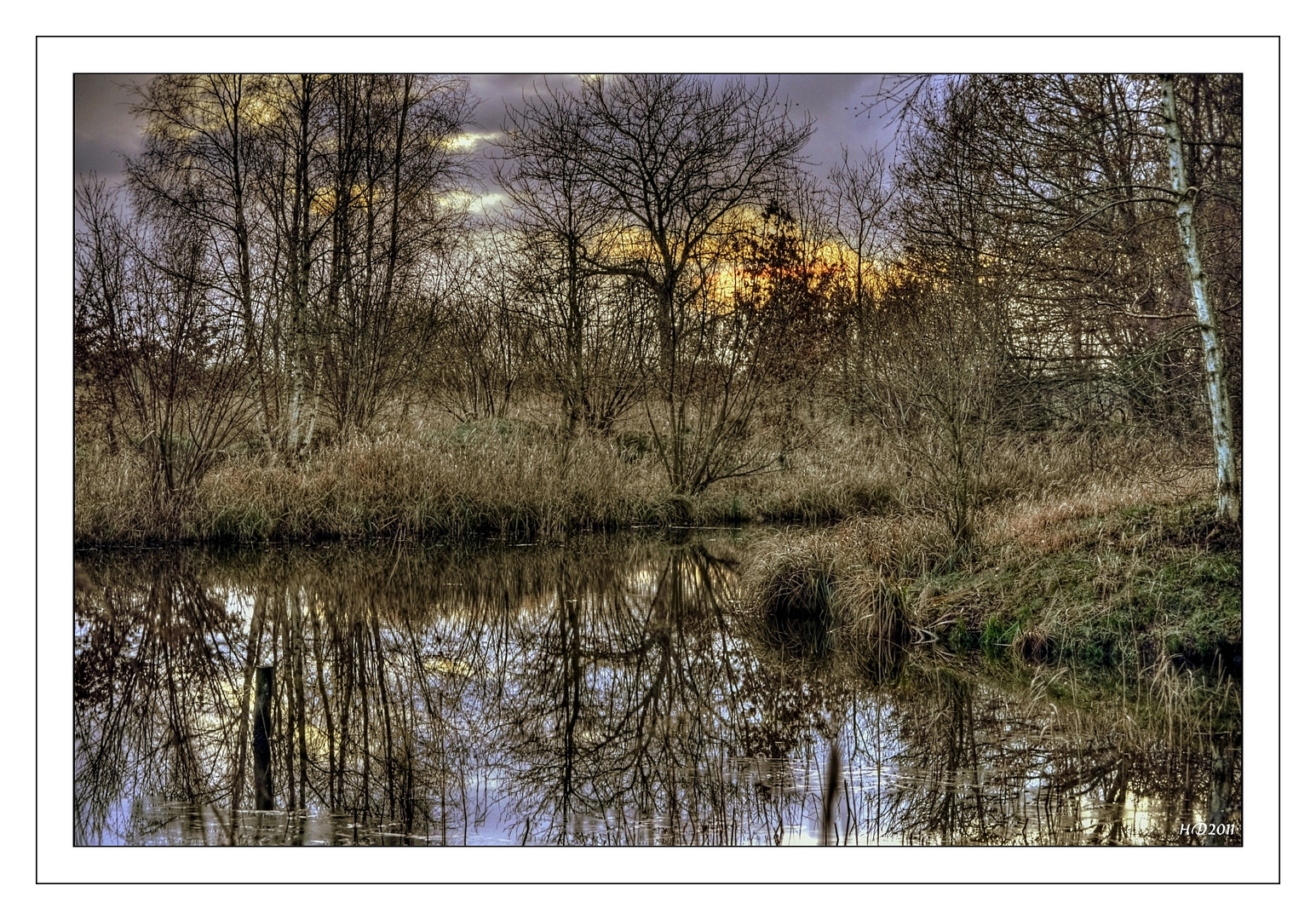 Nachmittags im Moor