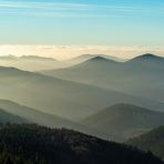 Nachmittags im Nordschwarzwald