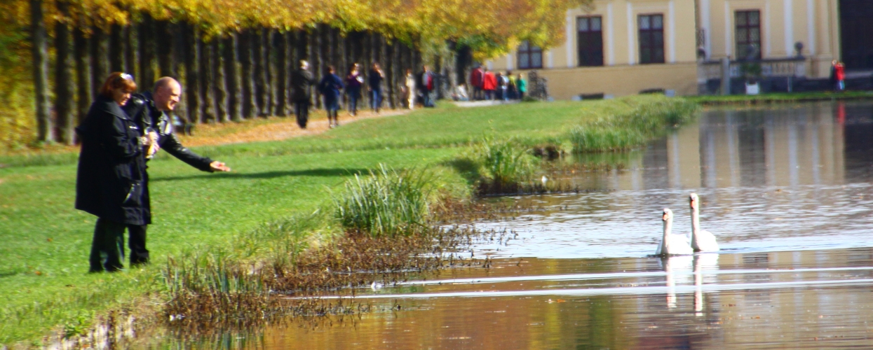 Nachmittags im Park