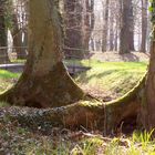 Nachmittags im Park