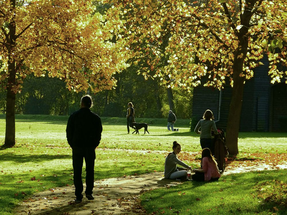 Nachmittags im Park