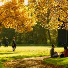 Nachmittags im Schloßpark