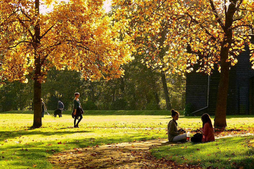 Nachmittags im Schloßpark