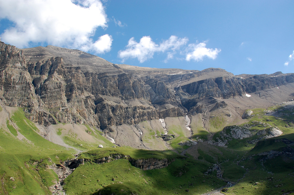 Nachmittags in der Oldenalp by Alex Schwob