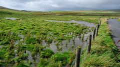 Nachmittags in Yorkshire (2)