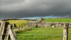 Nachmittags in Yorkshire (3)