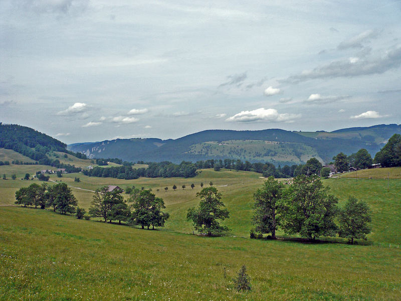 Nachmittags-Stimmung auf der 1. Jurakette