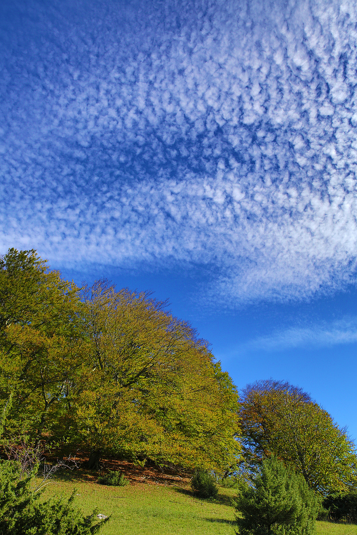 nachmittags unterwegs