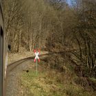 Nachmittagsausflug mit dem HSB Triebwagen nach Eisfelder Talmühle 3.