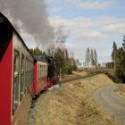 Nachmittagsausflug mit der 99 7237-3 nach Drei Annen Hohne 5.