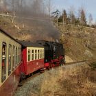 Nachmittagsausflug mit der 99 7237-3 nach Drei Annen Hohne 7.