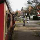 Nachmittagsausflug mit der 99 7237-3 zurück nach Nordhausen 2.