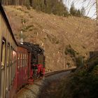 Nachmittagsausflug mit der 99 7237-3 zurück nach Nordhausen 3.