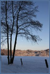 Nachmittagslicht am Teutoburger Wald