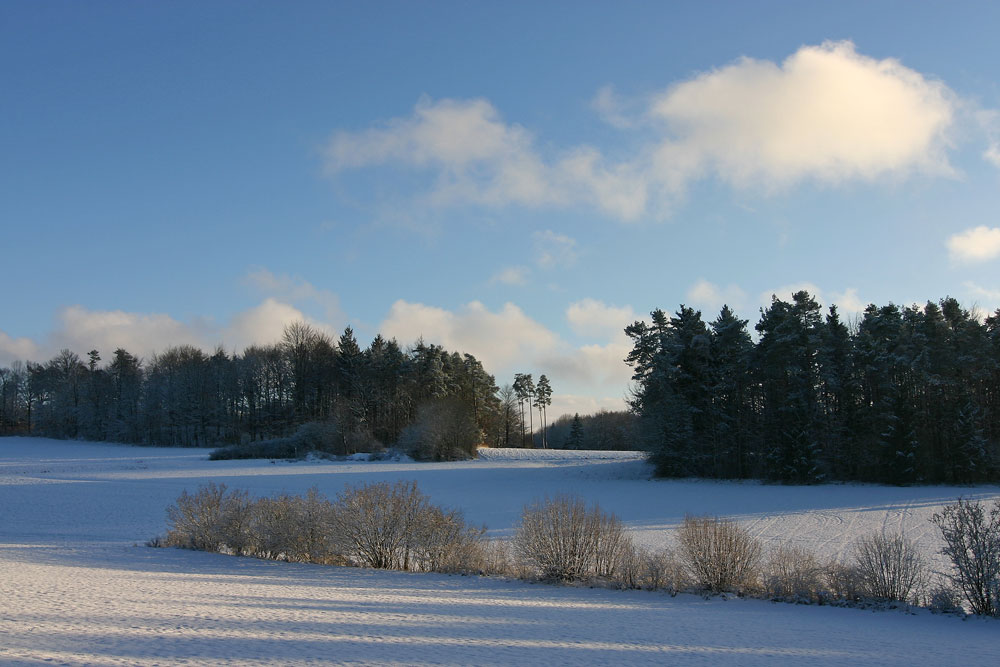 Nachmittagsonne