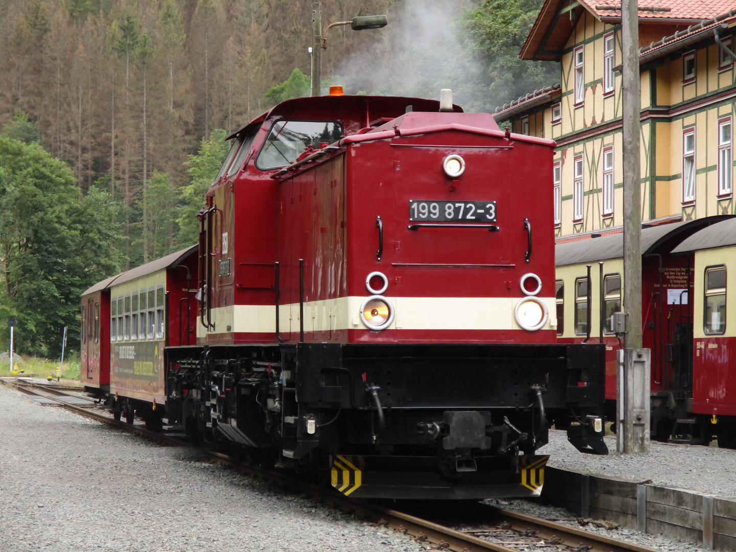 Nachmittagsrunde mit dem Harzkamel nach Eisfelder Talmühle 2.