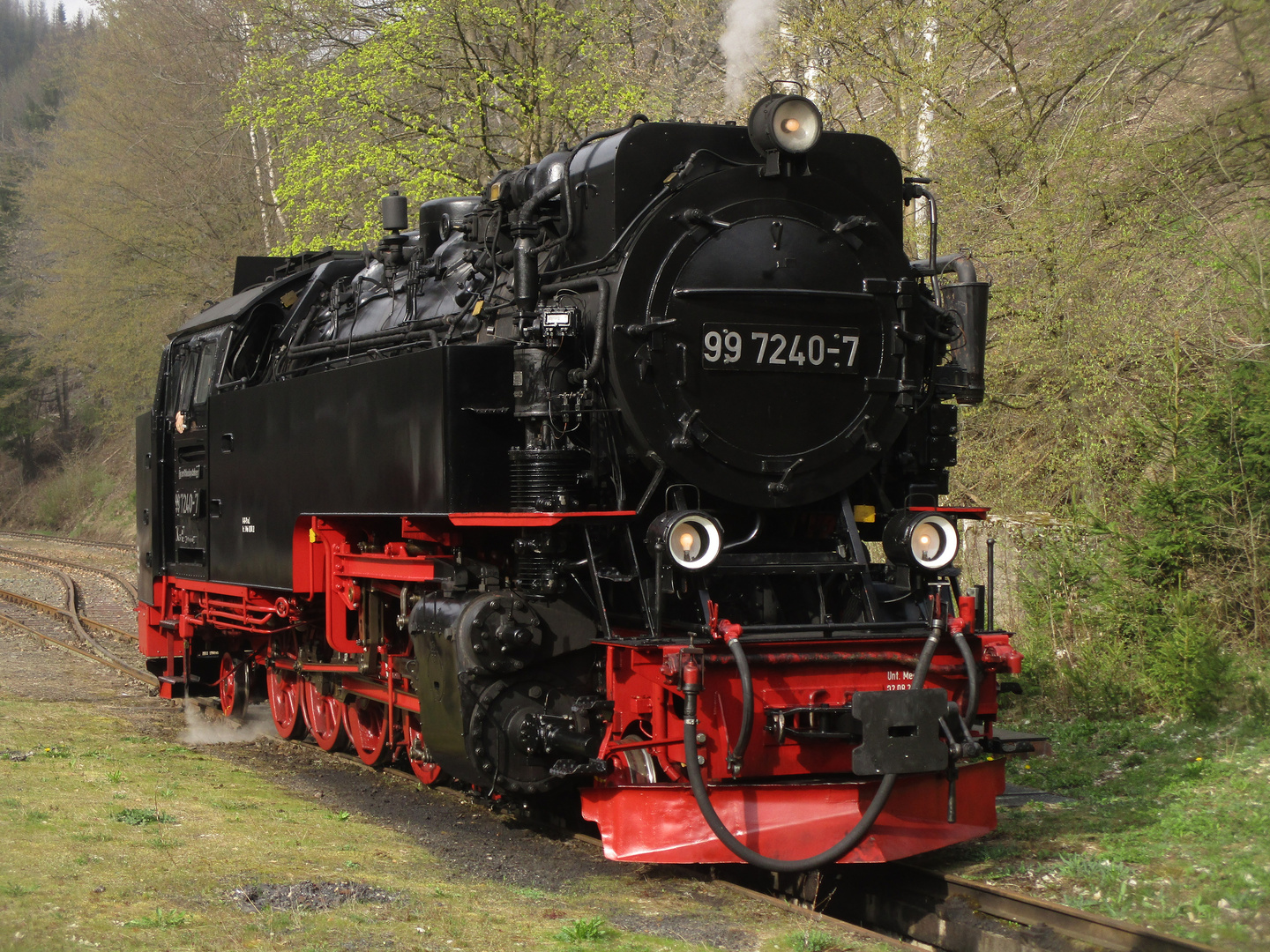 Nachmittagsrunde mit der HSB nach Eisfelder Talmühle 1.