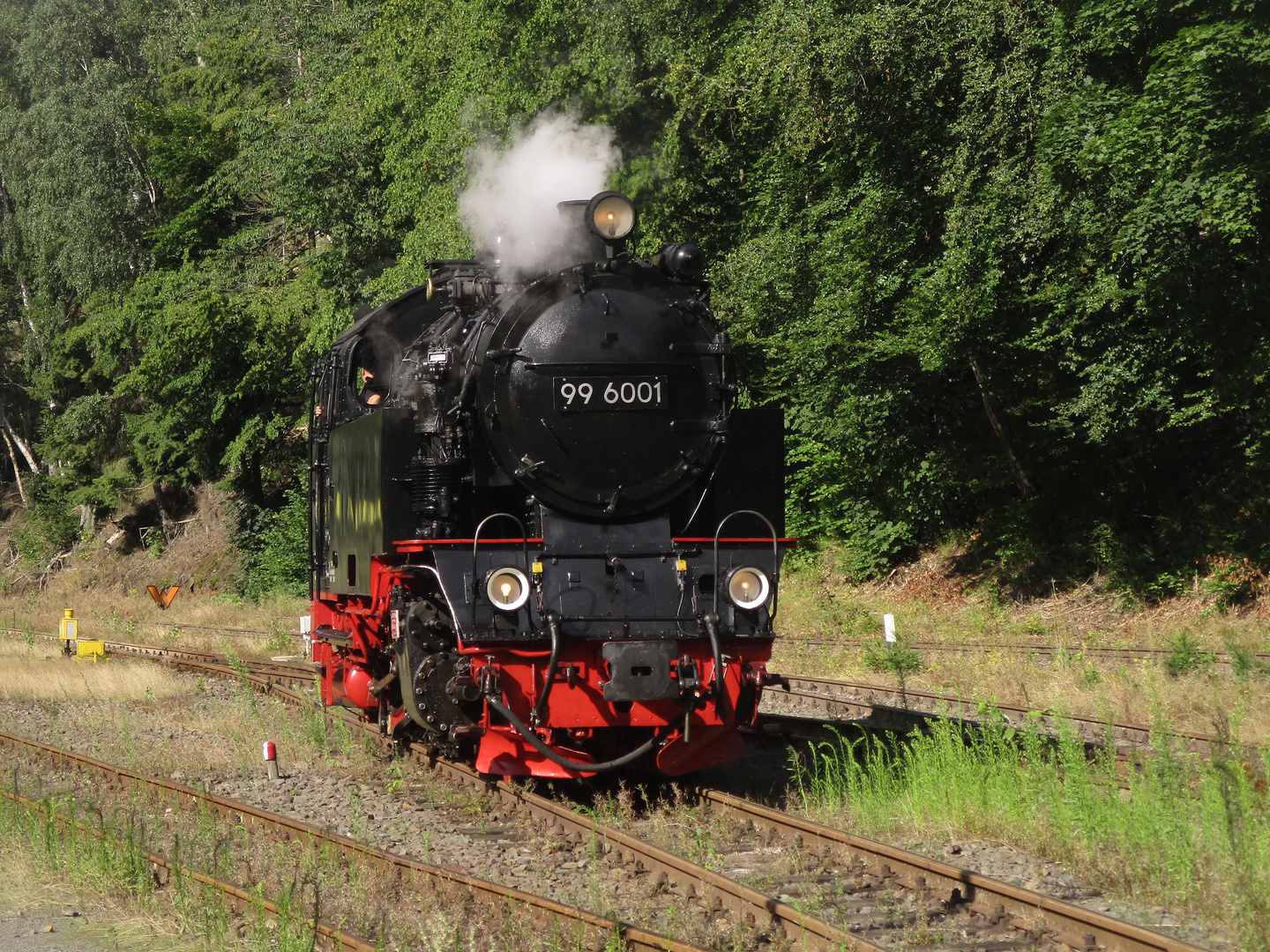 Nachmittagsrunde mit der HSB nach Eisfelder Talmühle 2.