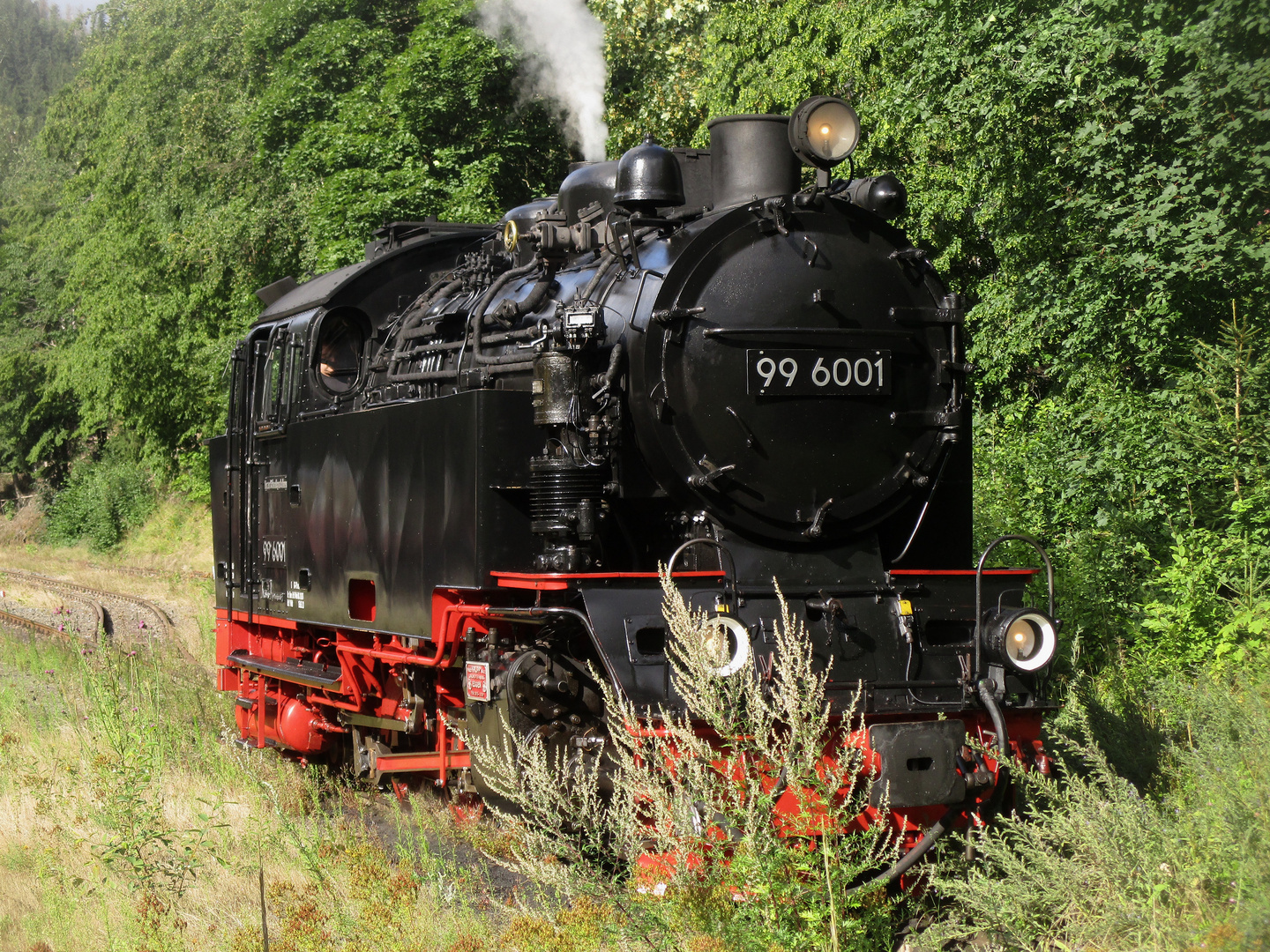 Nachmittagsrunde mit der HSB nach Eisfelder Talmühle 4.