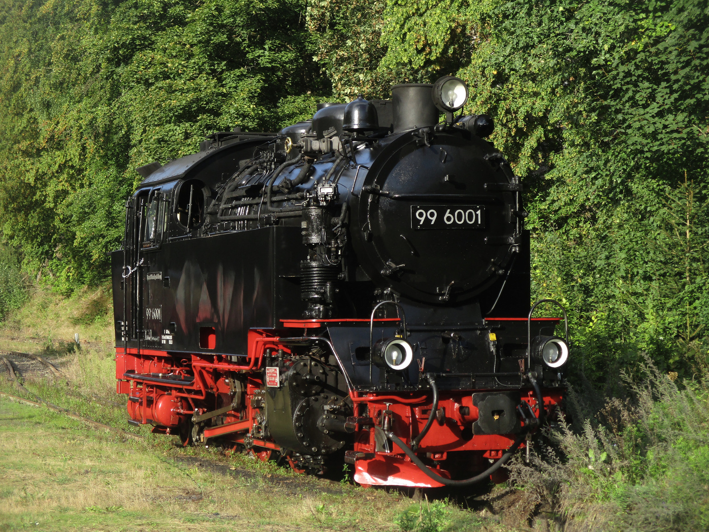 Nachmittagsrunde mit der HSB zurück nach Nordhausen 1.