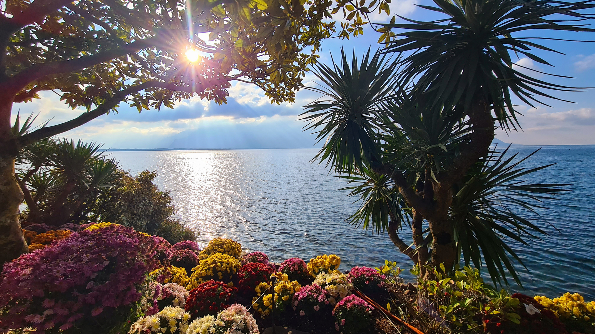 Nachmittagssonne am Genfer See
