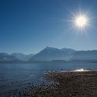 Nachmittagssonne am Thunersee