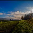 Nachmittagssonne am Waldrand mit Blick in die Ferne