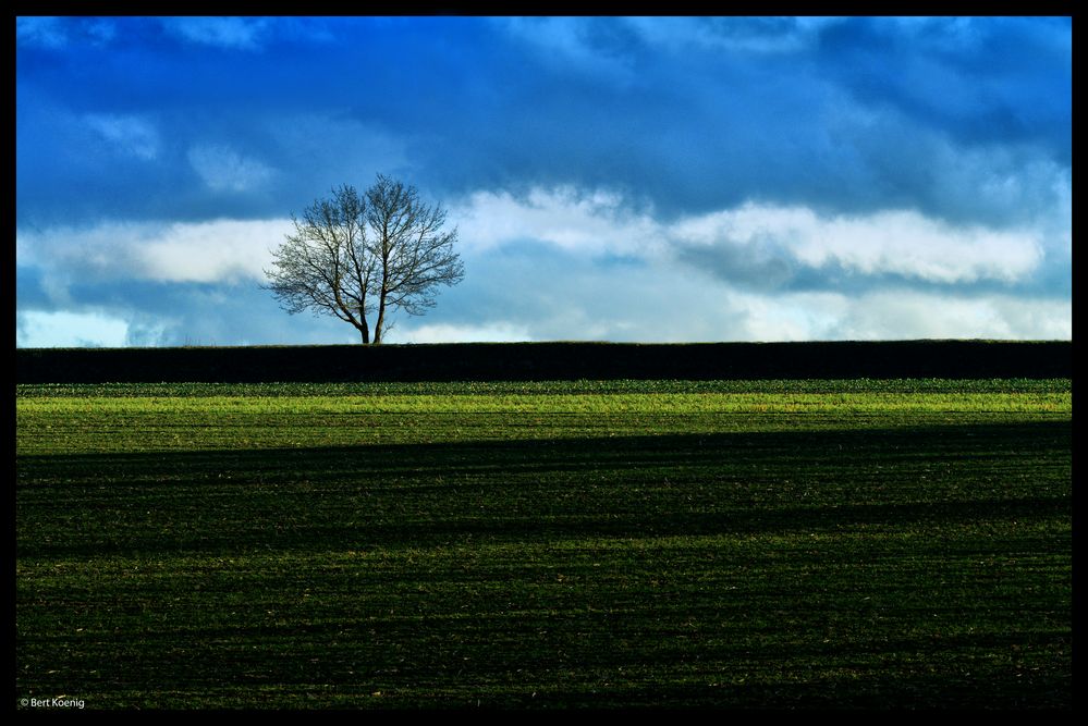 Nachmittagssonne im Dezmeber 2012