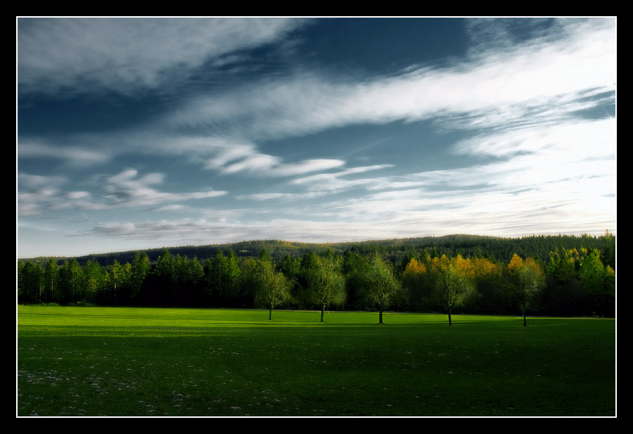 Nachmittagssonne im Herbst