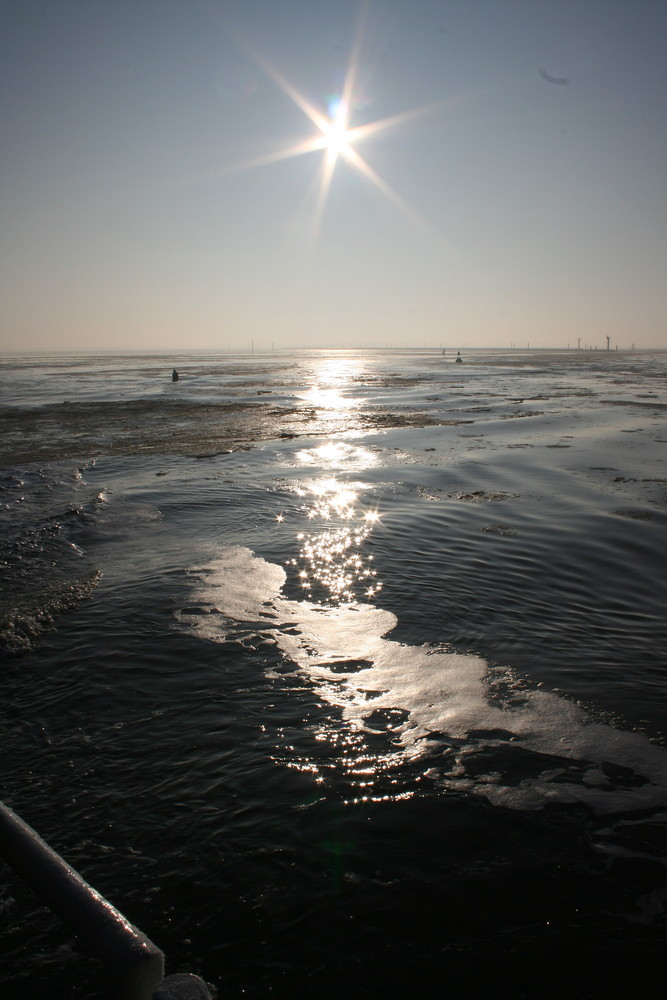 Nachmittagssonne über eisigem Wattenmeer