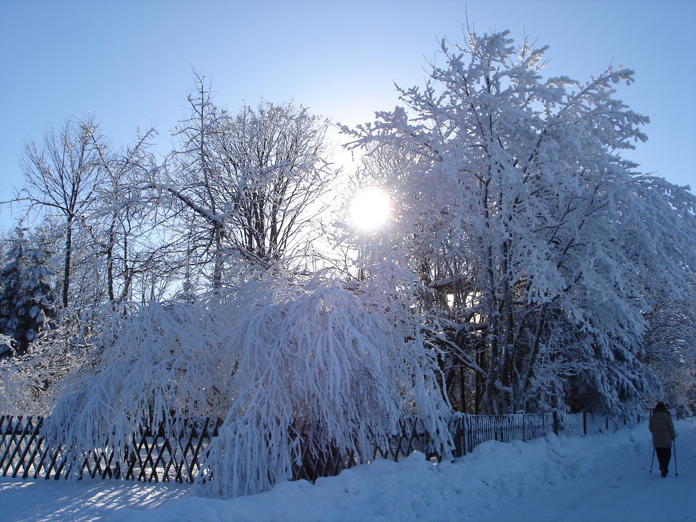 Nachmittagsspaziergang