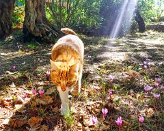 Nachmittagsspaziergang