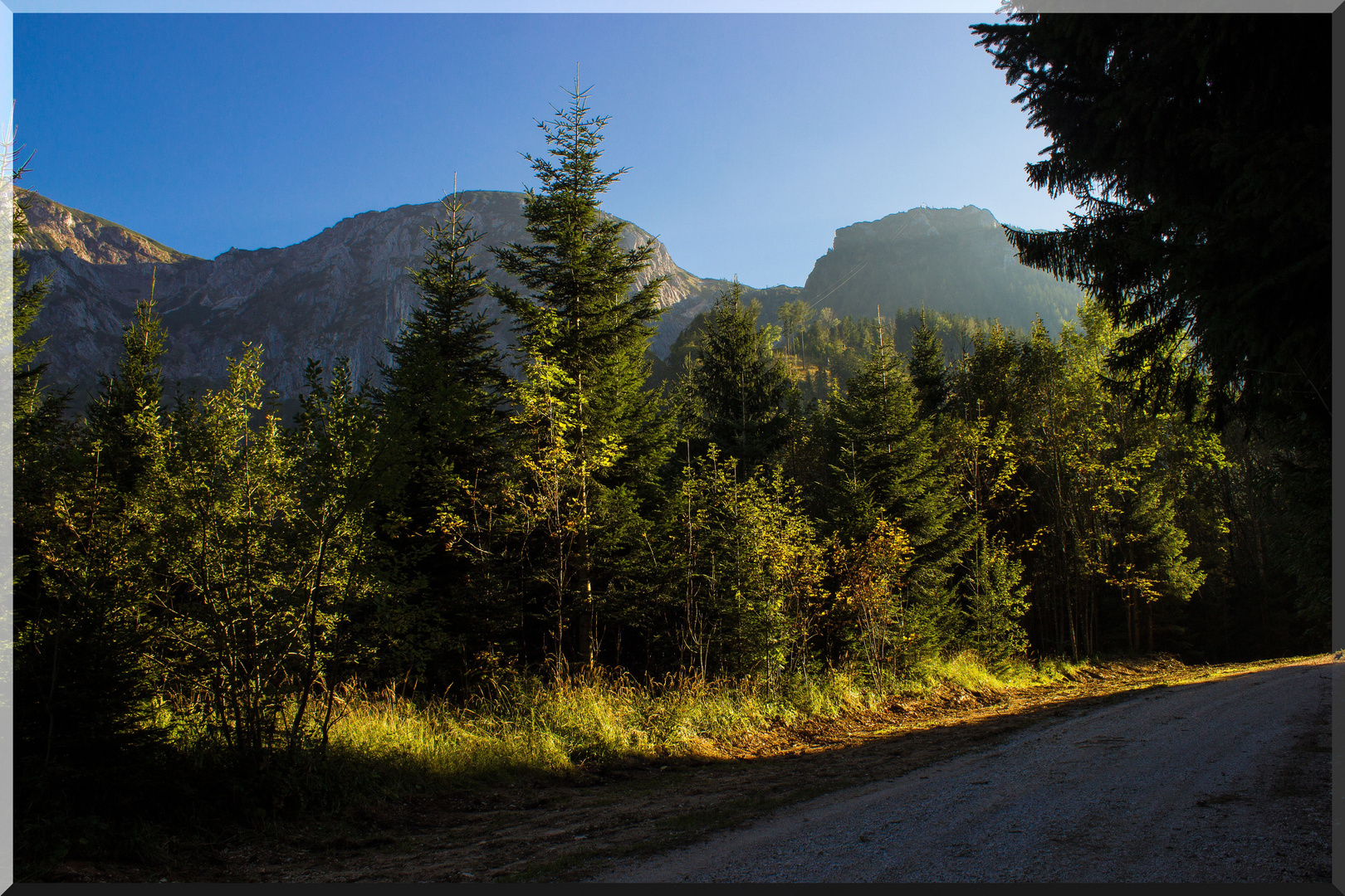 Nachmittagsspaziergang