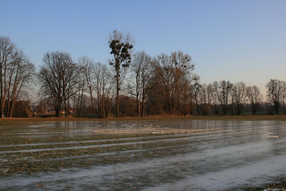 Nachmittagsspaziergang