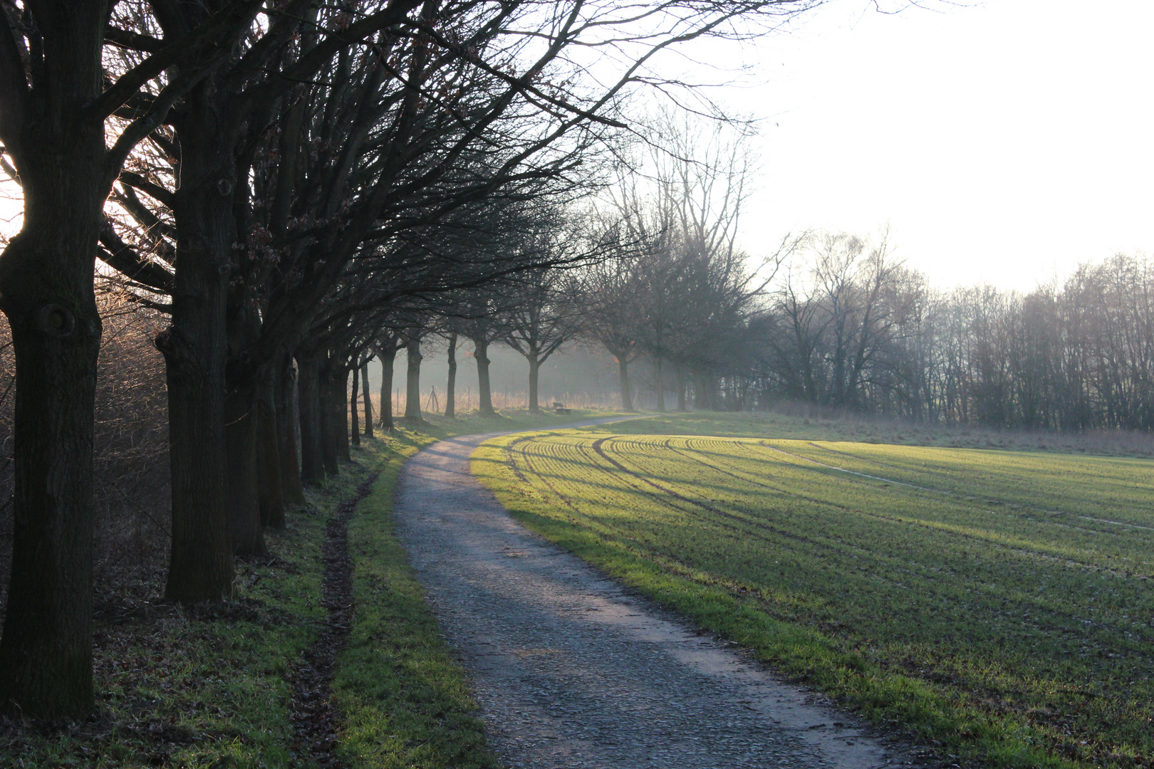 Nachmittagsspaziergang