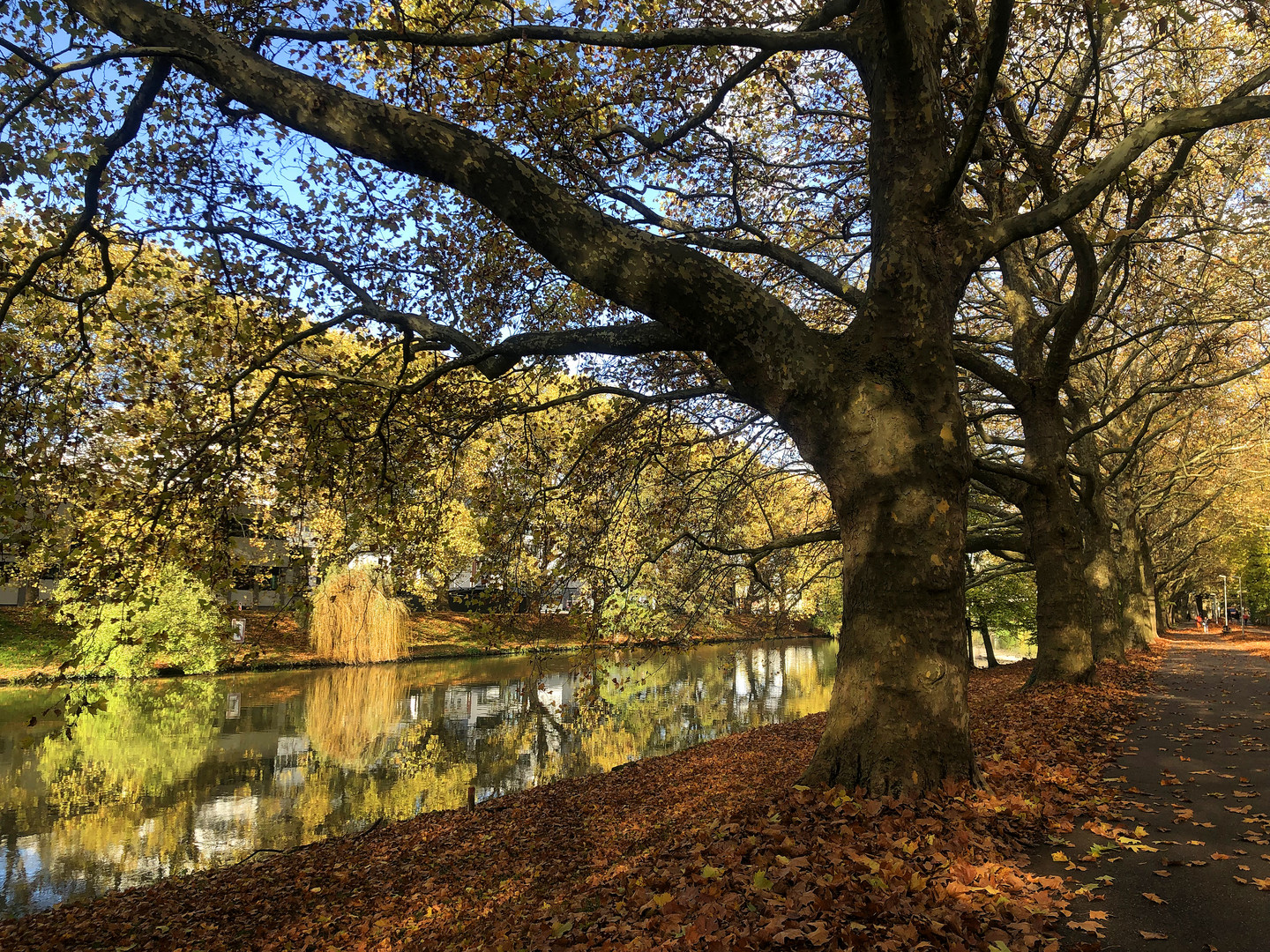 Nachmittagsspaziergang am alten Neckar