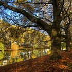 Nachmittagsspaziergang am alten Neckar