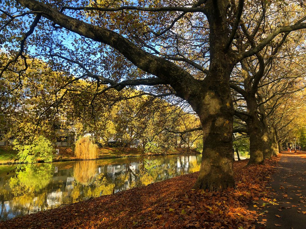 Nachmittagsspaziergang am alten Neckar