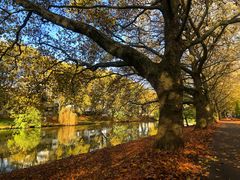 Nachmittagsspaziergang am alten Neckar