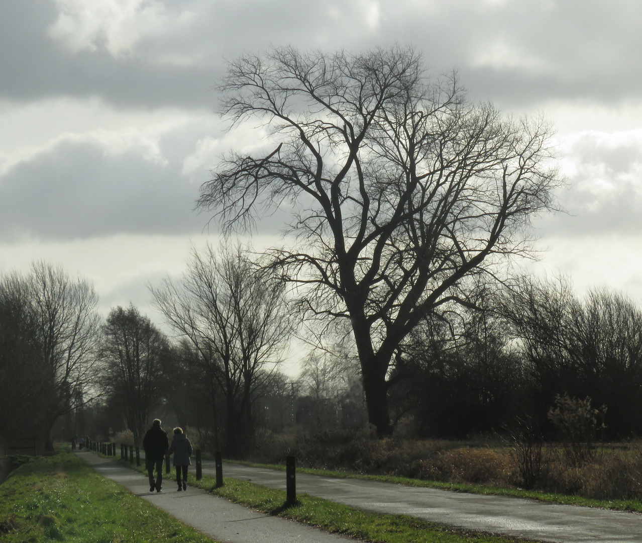 Nachmittagsspaziergang in der Wiesenstraße