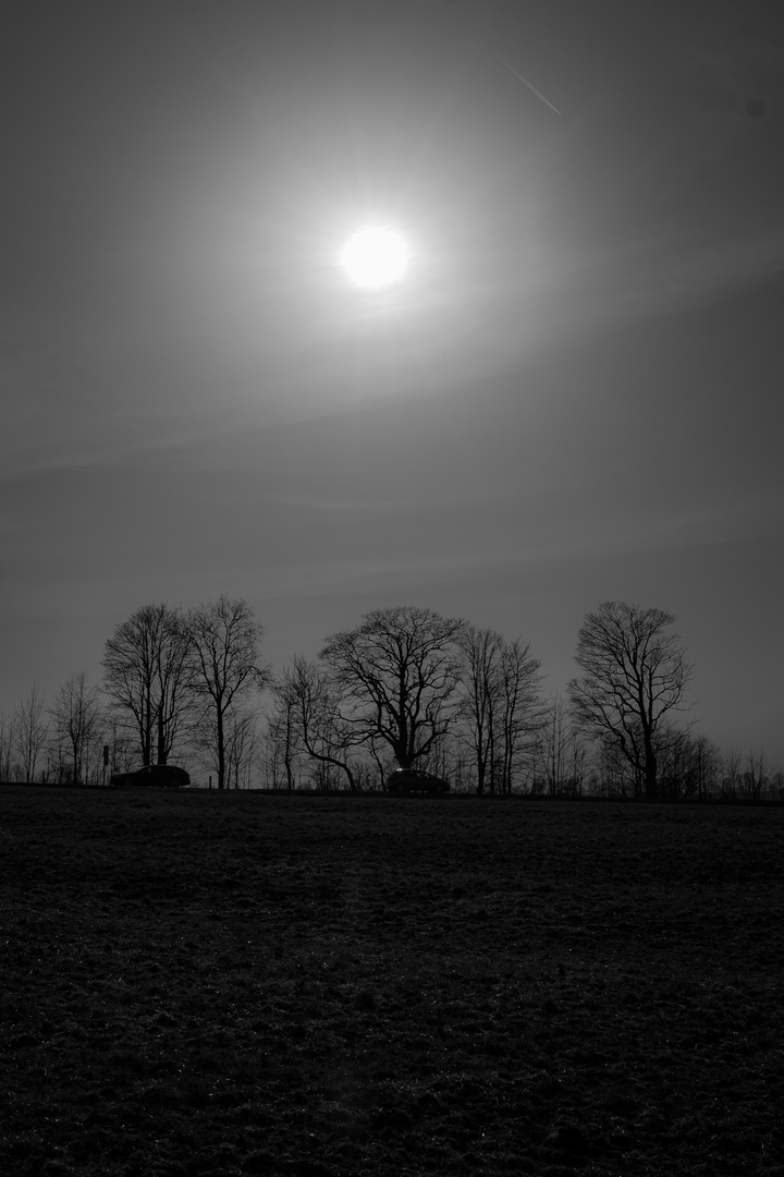 Nachmittagsspaziergang in Schwarzweiß