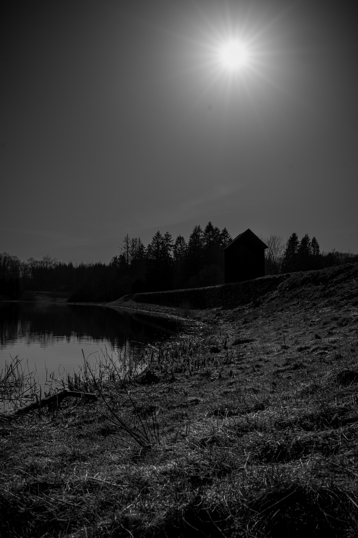 Nachmittagsspaziergang in Schwarzweiß