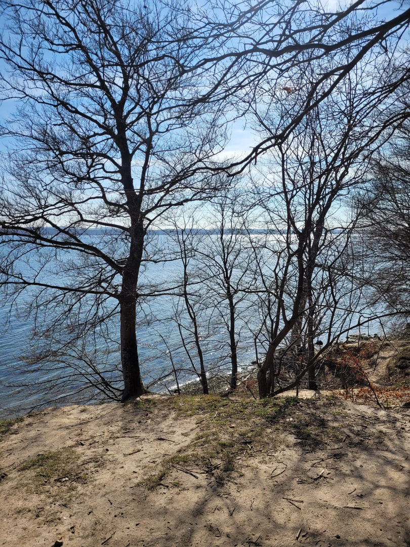 Nachmittagsstimmung an der Dänischen Ostsee 