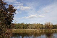 Nachmittagsstimmung an der Mulde in Dessau